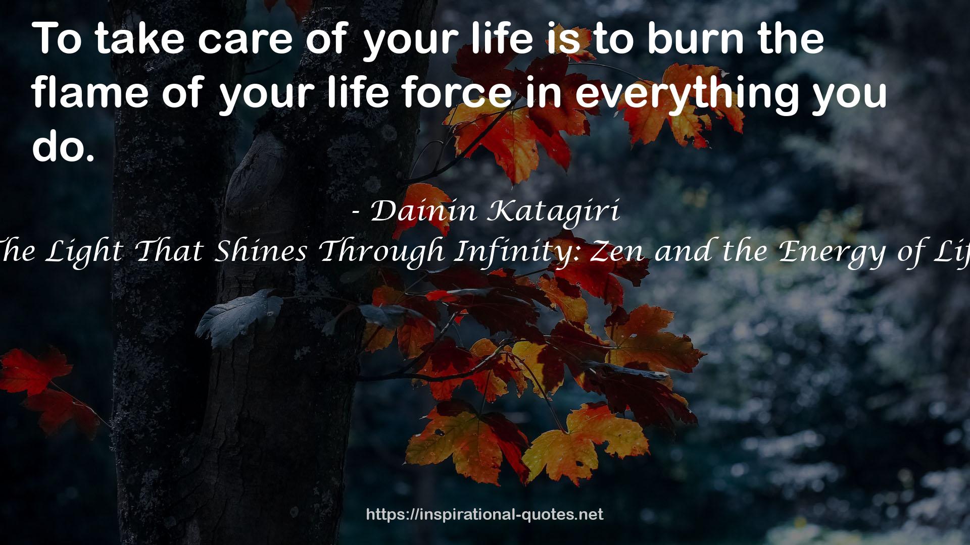 The Light That Shines Through Infinity: Zen and the Energy of Life QUOTES