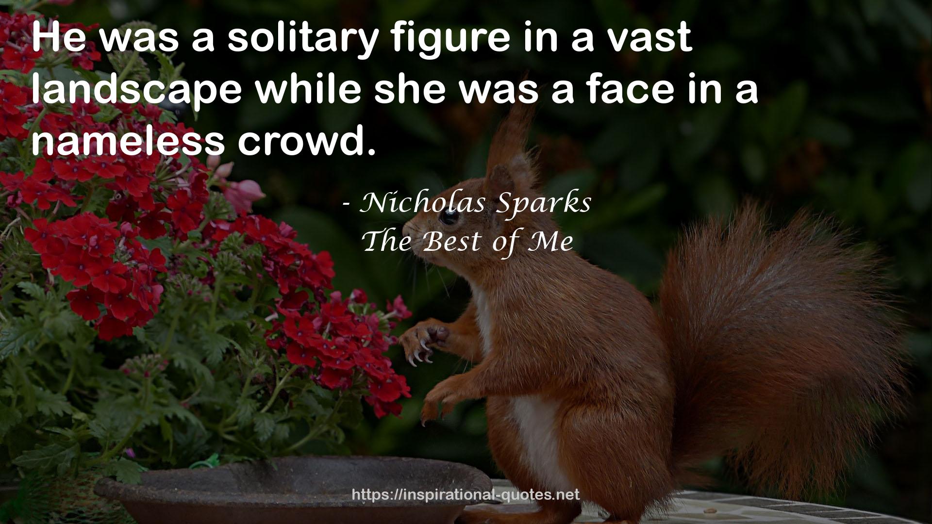 a solitary figure  QUOTES