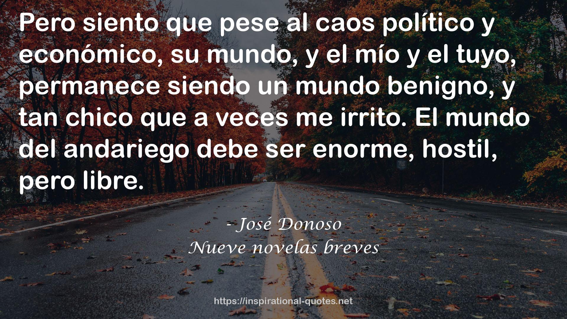 Nueve novelas breves QUOTES