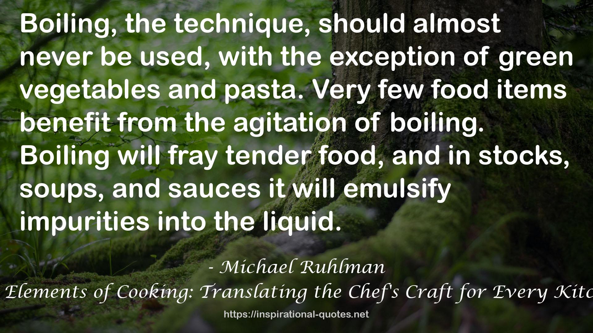 The Elements of Cooking: Translating the Chef's Craft for Every Kitchen QUOTES