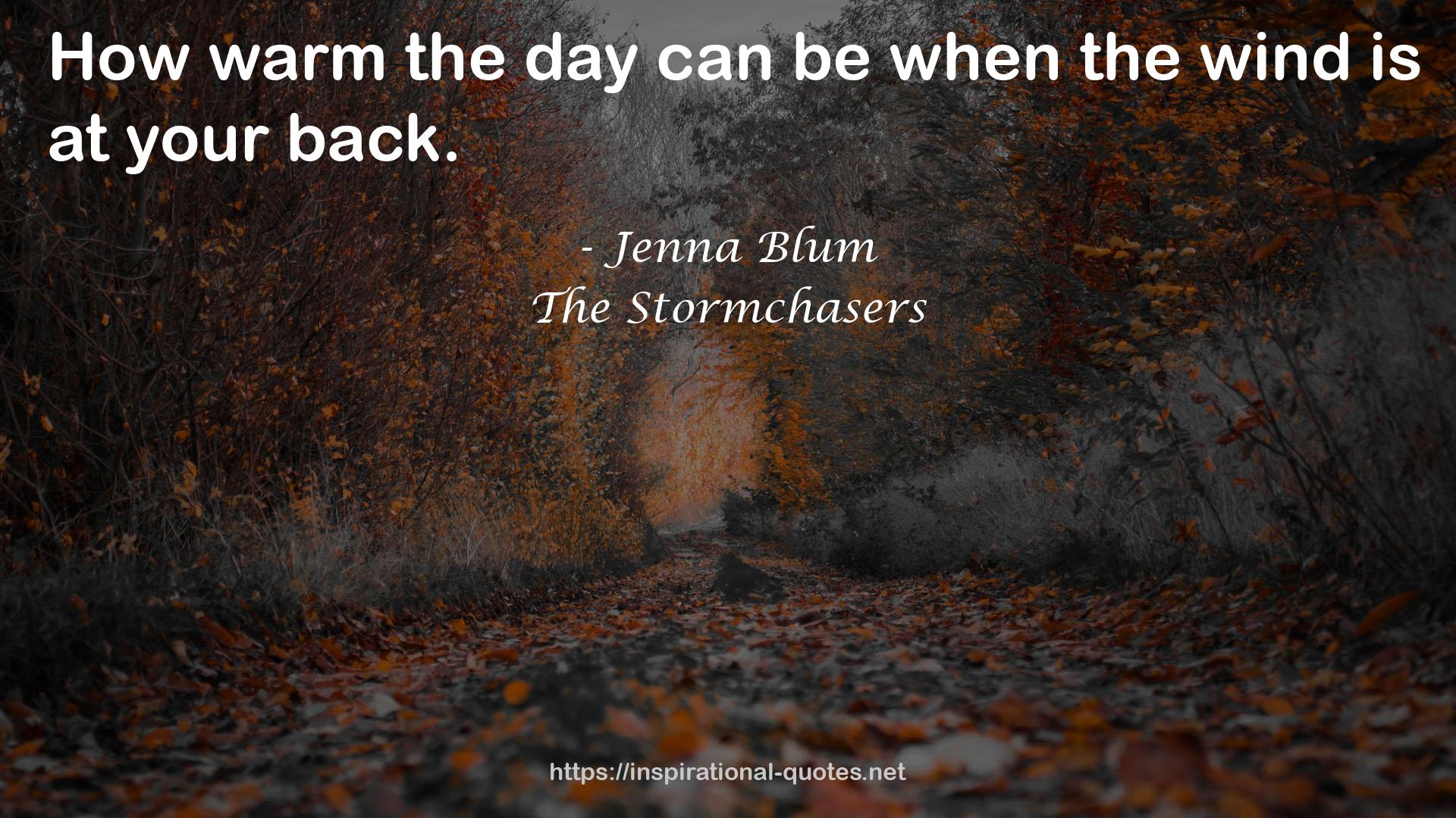 The Stormchasers QUOTES