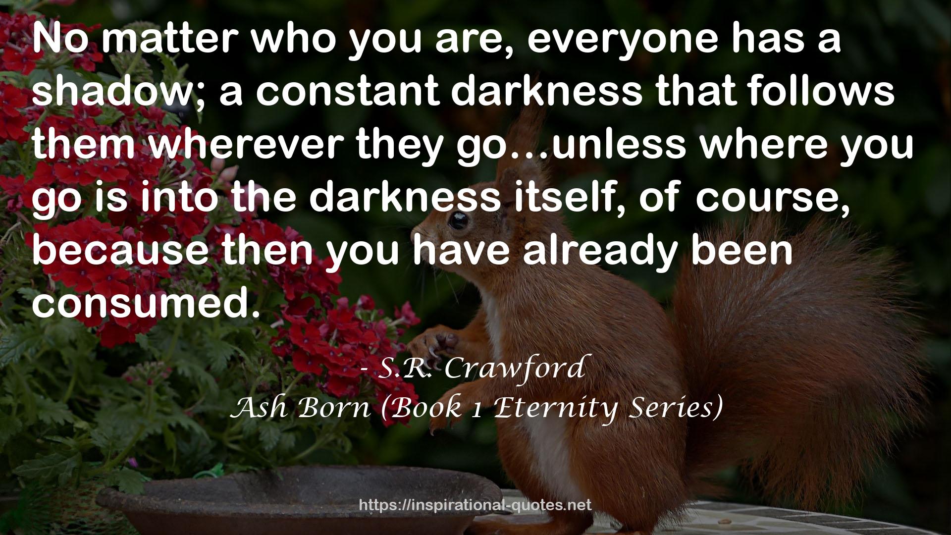 a constant darkness  QUOTES