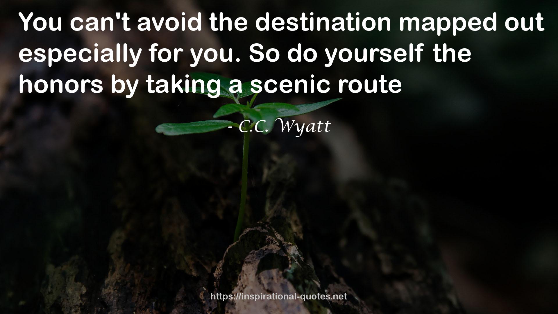 C.C. Wyatt QUOTES