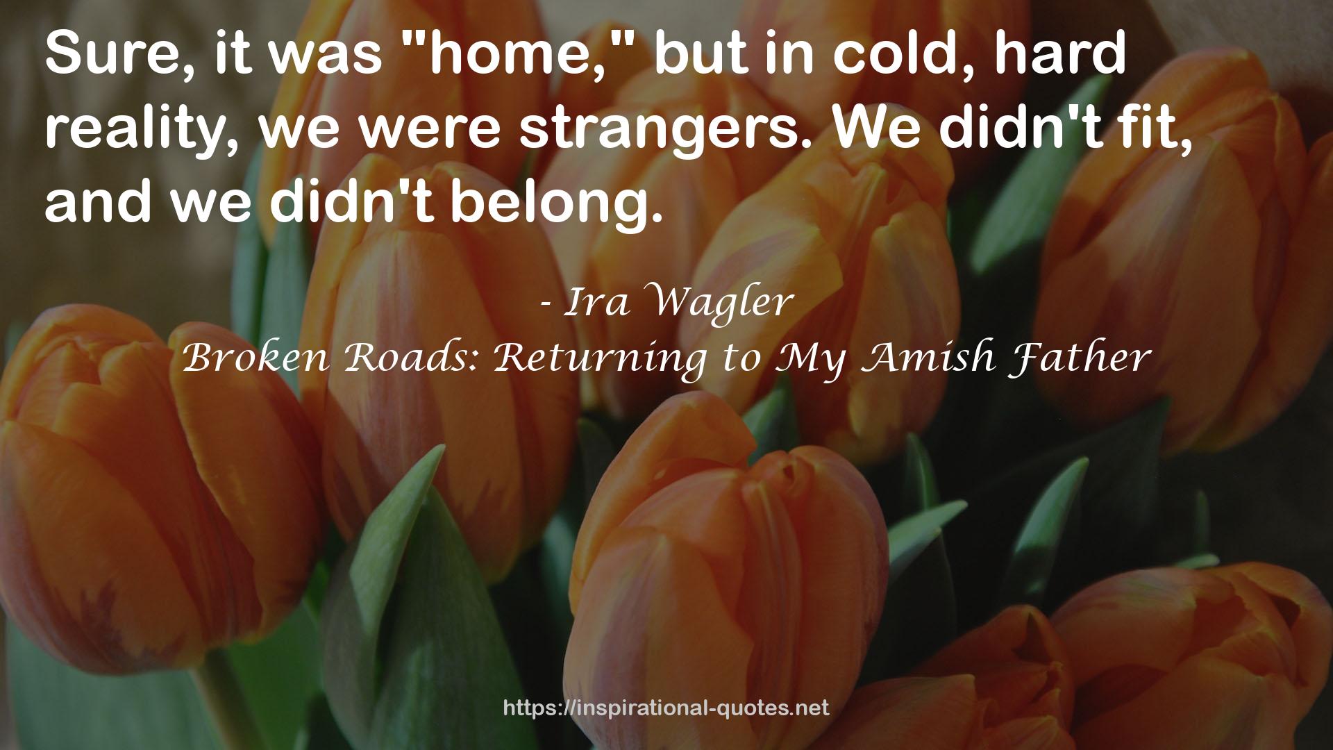 Broken Roads: Returning to My Amish Father QUOTES