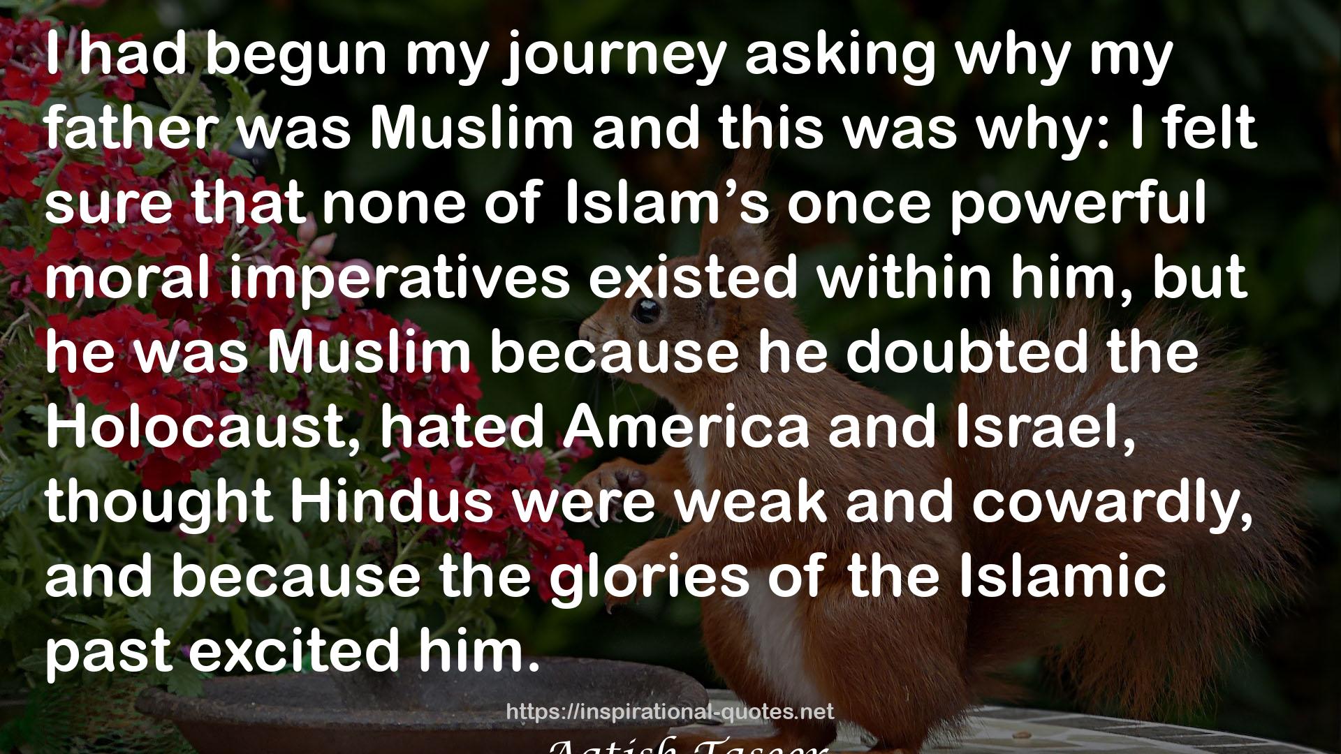 Stranger to History: A Son's Journey through Islamic Lands QUOTES