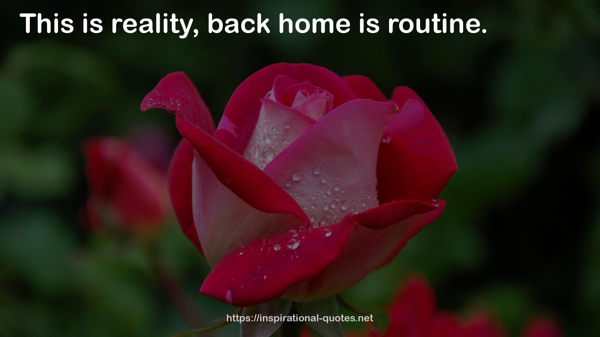 back home  QUOTES
