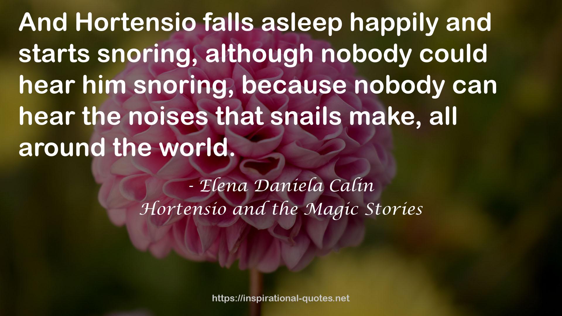 Hortensio and the Magic Stories QUOTES