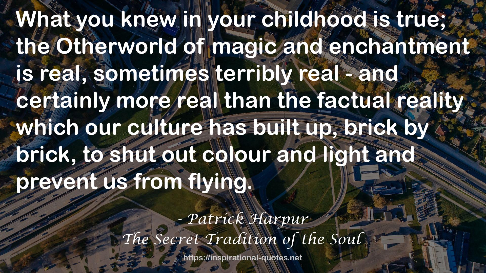 Patrick Harpur QUOTES