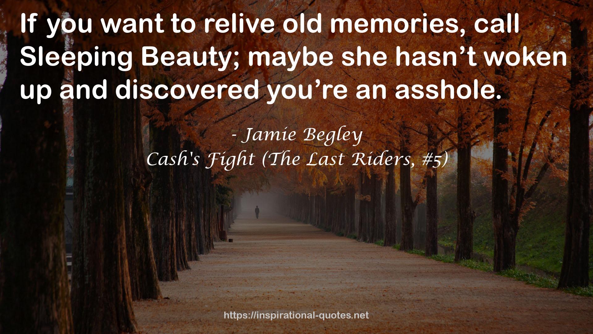 Cash's Fight (The Last Riders, #5) QUOTES