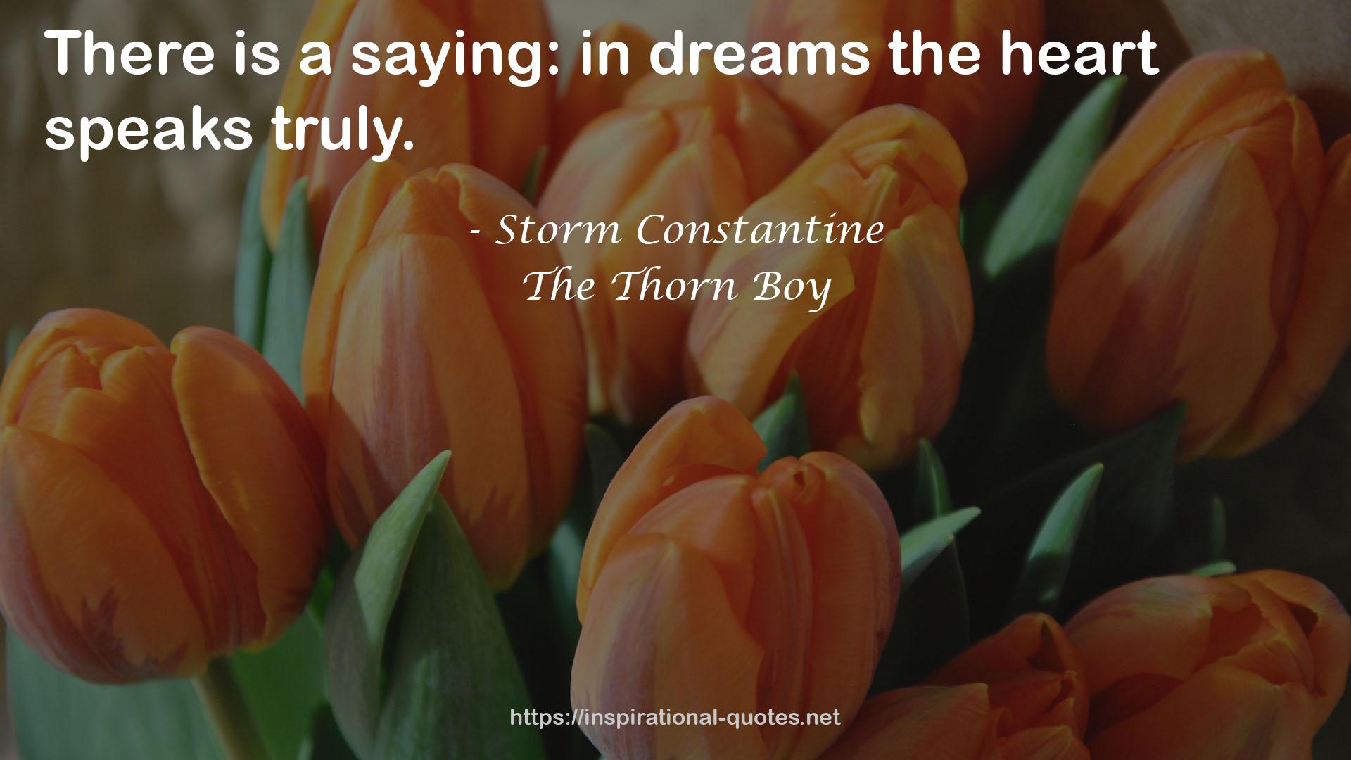 The Thorn Boy QUOTES