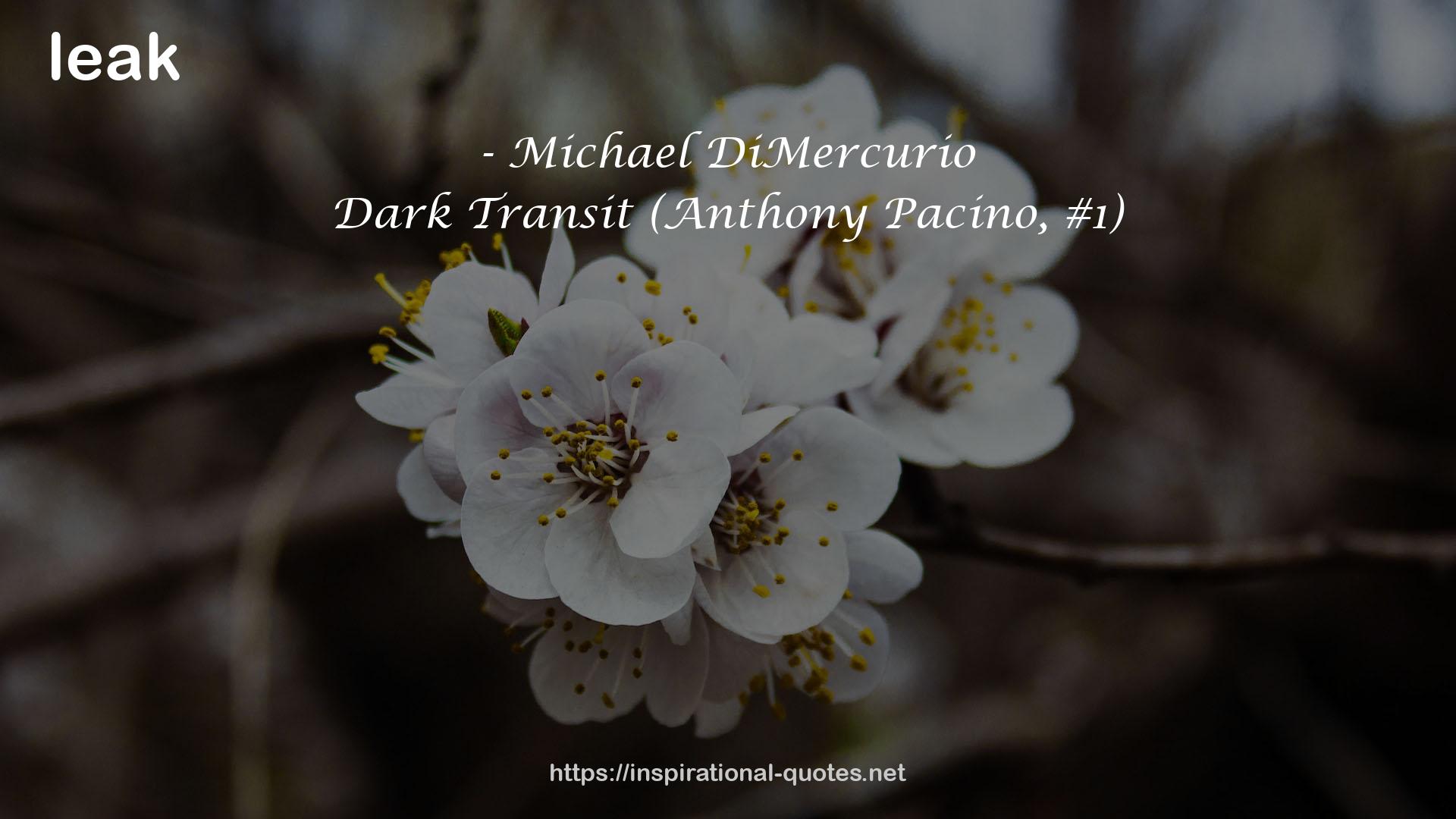 Dark Transit (Anthony Pacino, #1) QUOTES