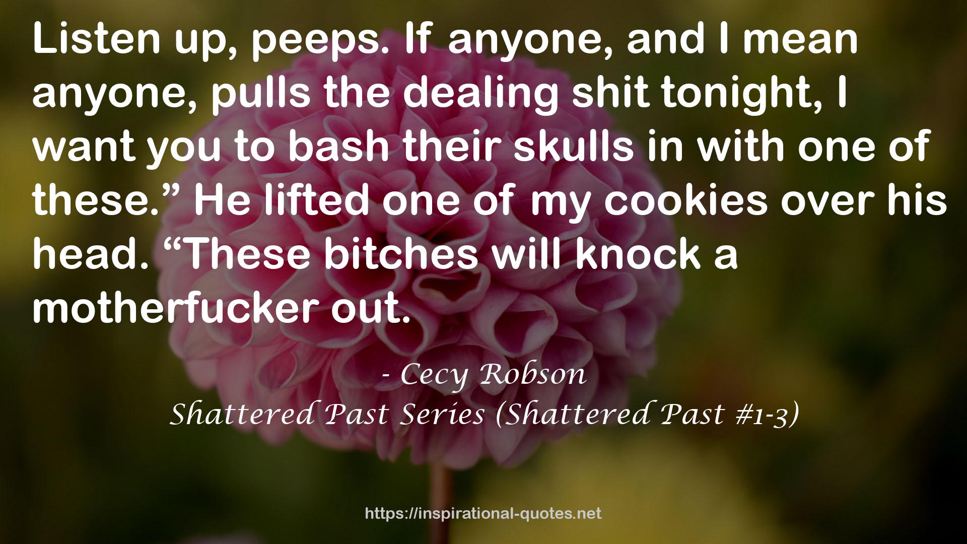 Shattered Past Series (Shattered Past #1-3) QUOTES