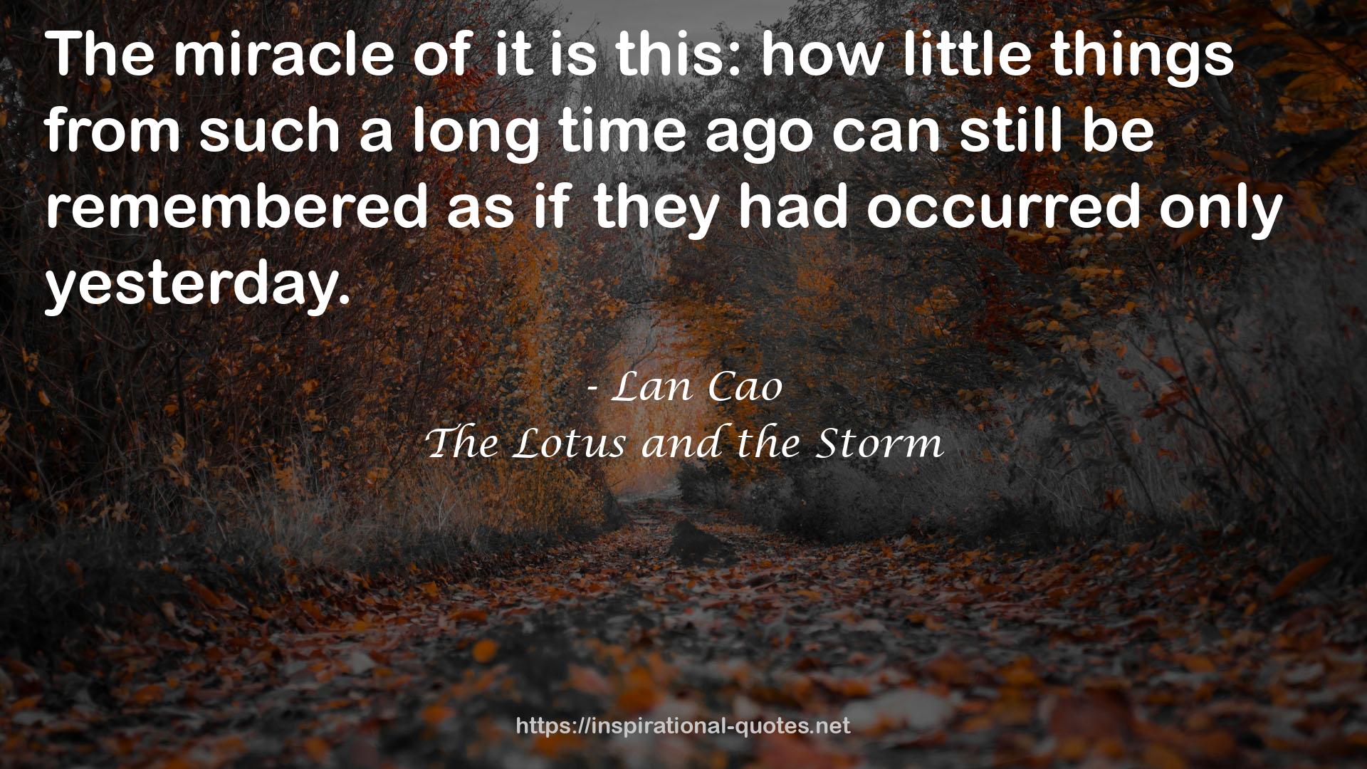 The Lotus and the Storm QUOTES