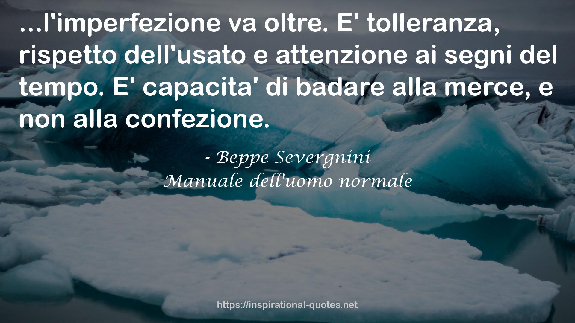 Manuale dell'uomo normale QUOTES