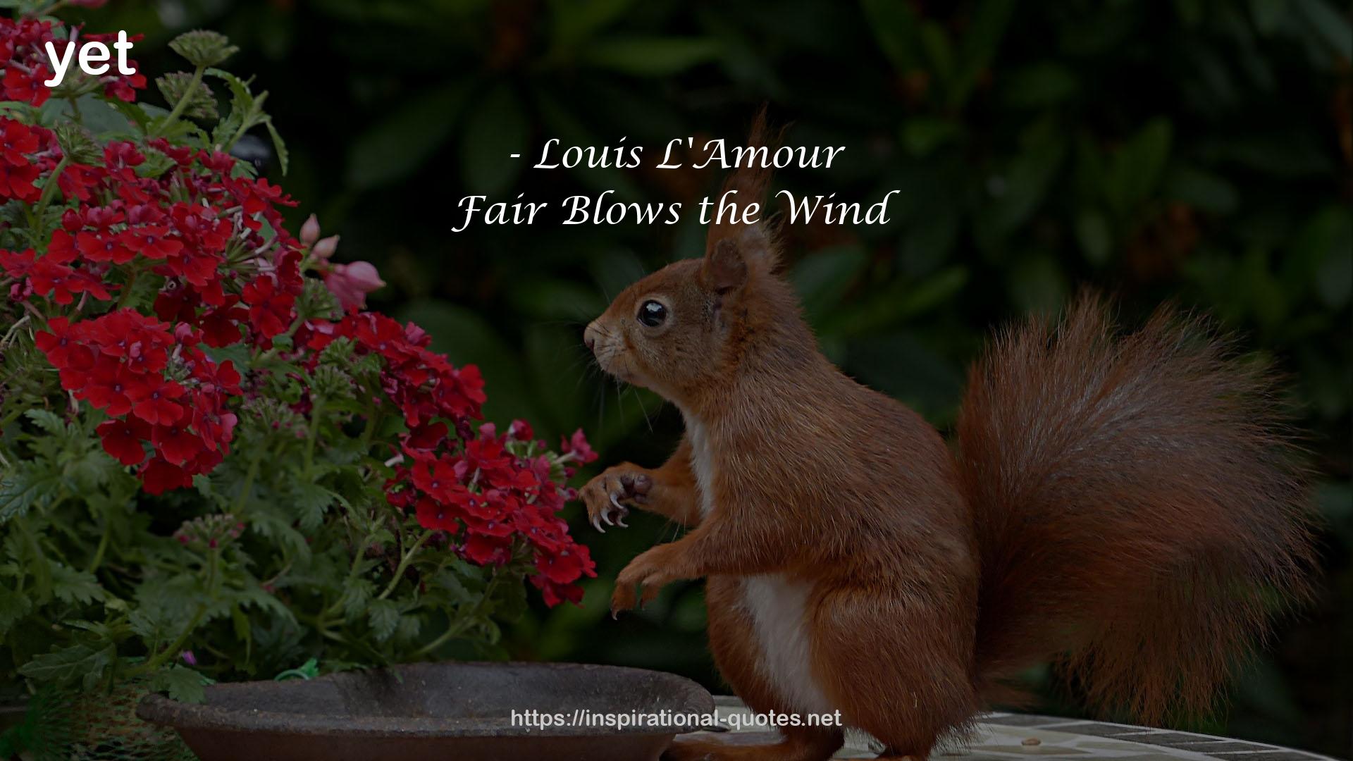 Fair Blows the Wind QUOTES