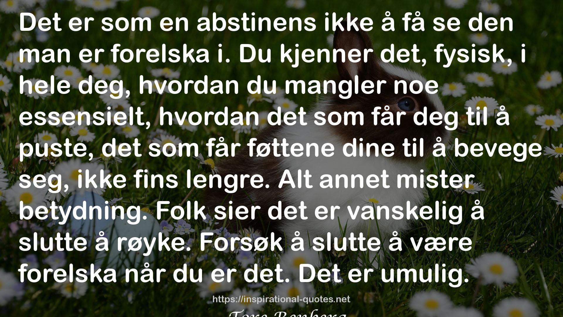 Mannen som elsket Yngve (Jarle Klepp, #1) QUOTES