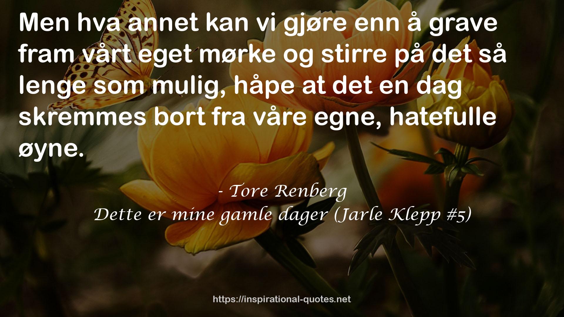 Dette er mine gamle dager (Jarle Klepp #5) QUOTES