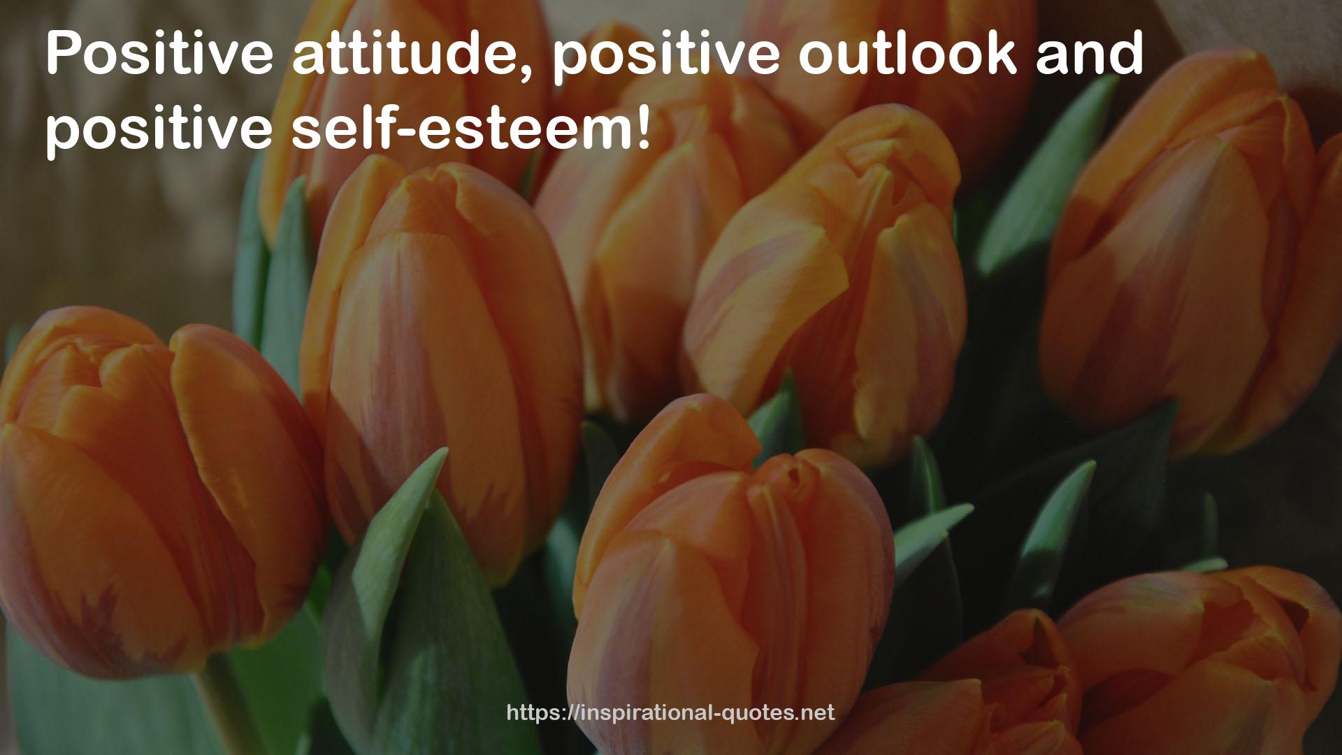 positive outlook  QUOTES