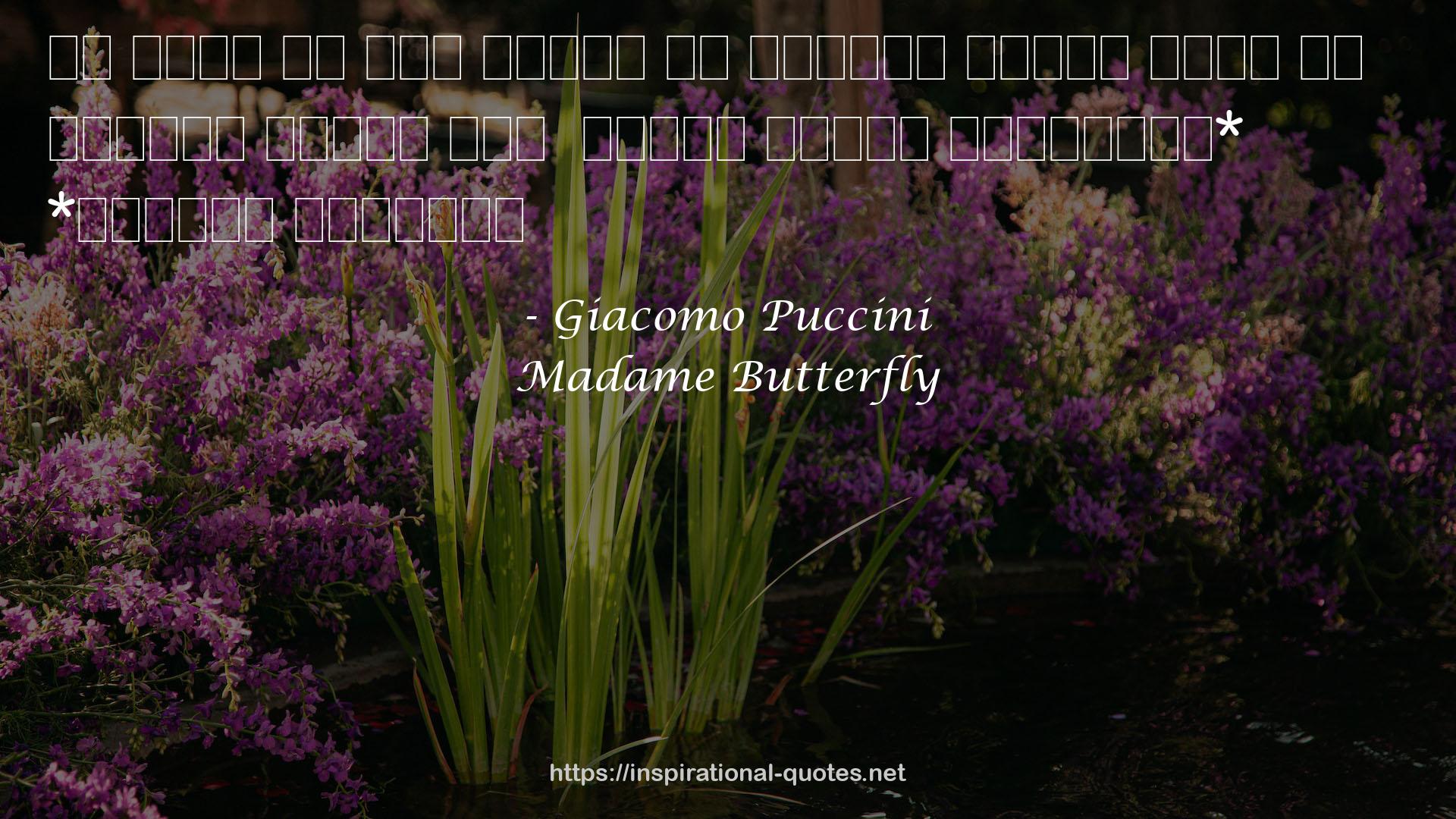 Madame Butterfly QUOTES