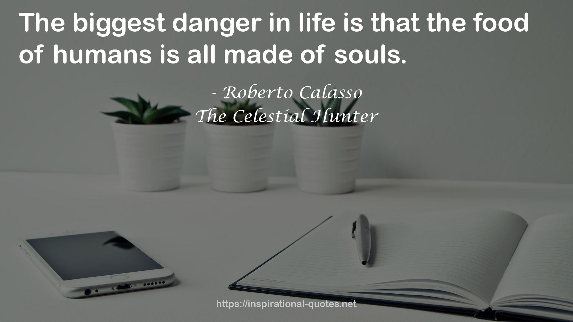 The Celestial Hunter QUOTES