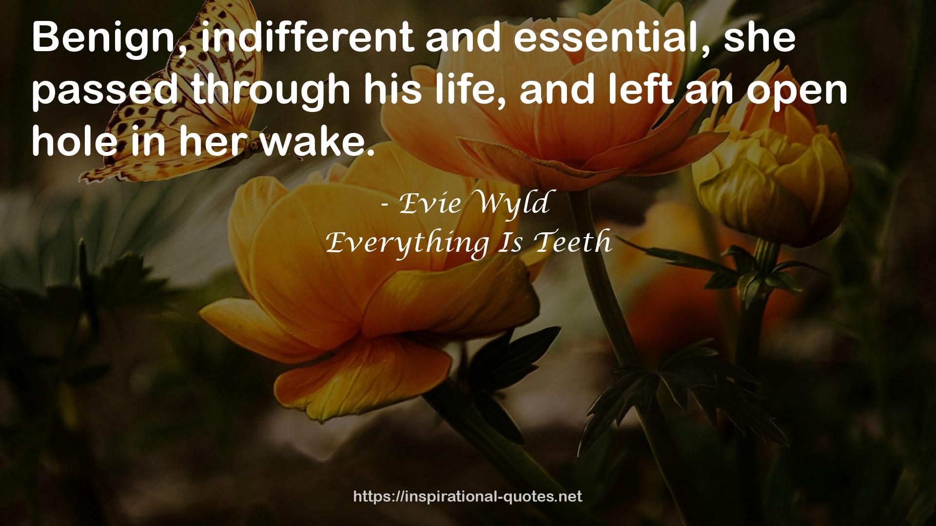 Everything Is Teeth QUOTES