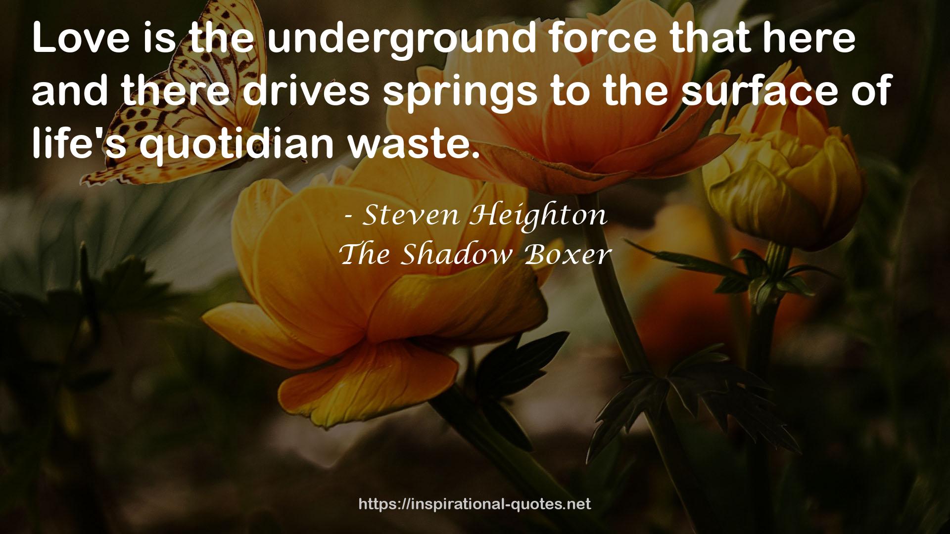 The Shadow Boxer QUOTES