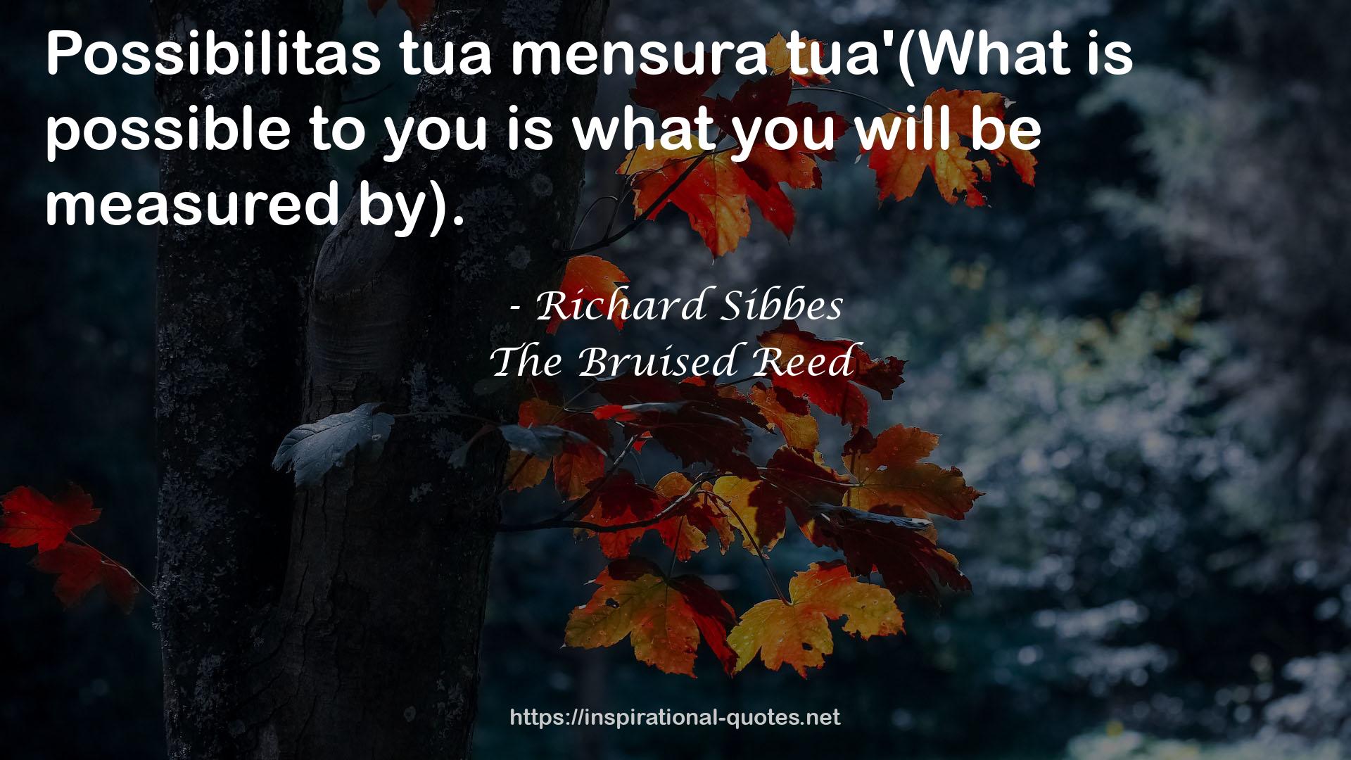 Richard Sibbes QUOTES