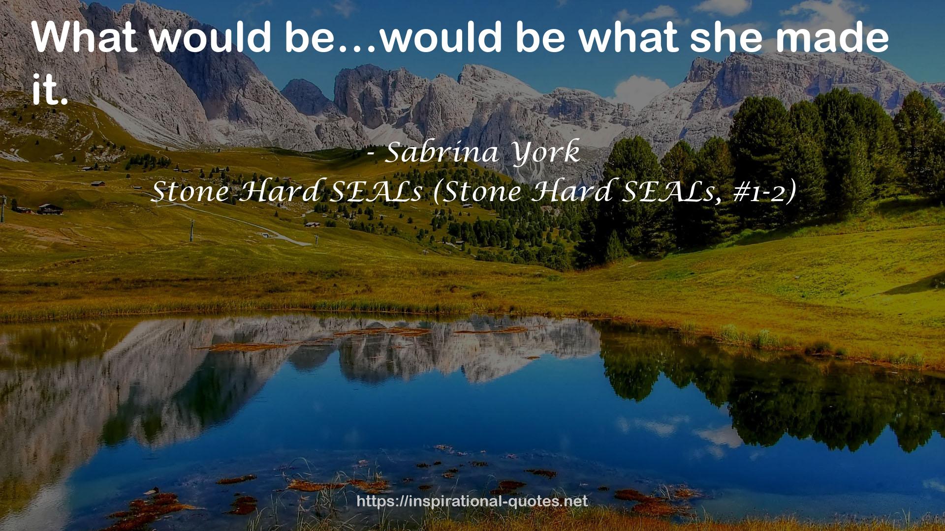 Stone Hard SEALs (Stone Hard SEALs, #1-2) QUOTES