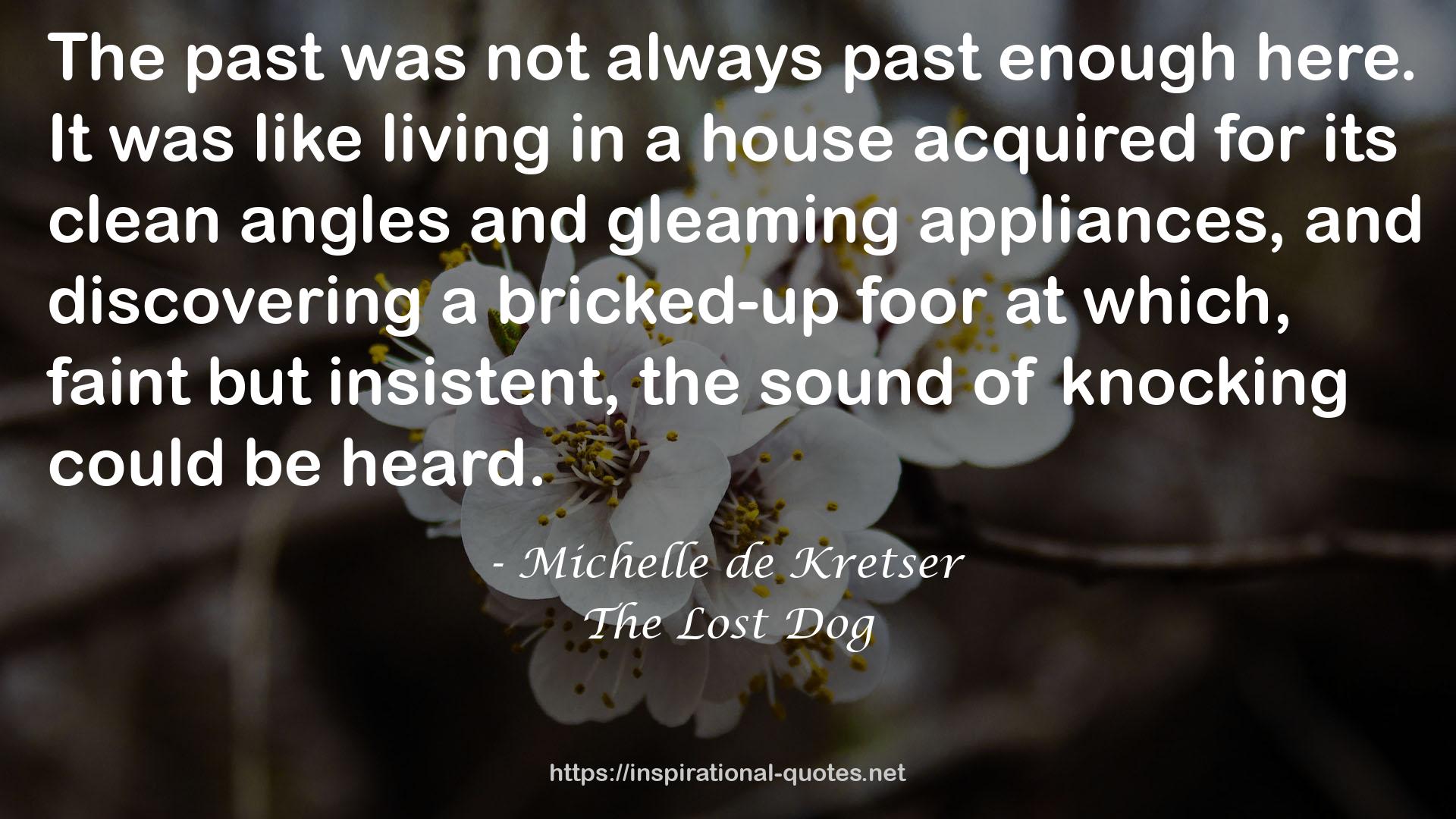 The Lost Dog QUOTES