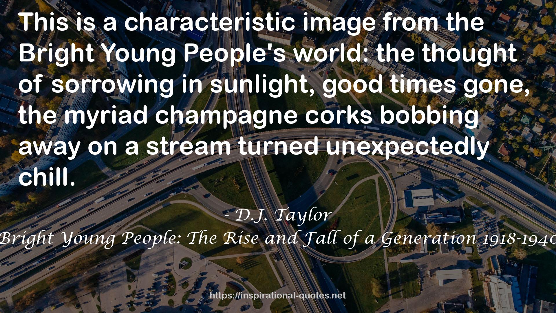 Bright Young People: The Rise and Fall of a Generation 1918-1940 QUOTES