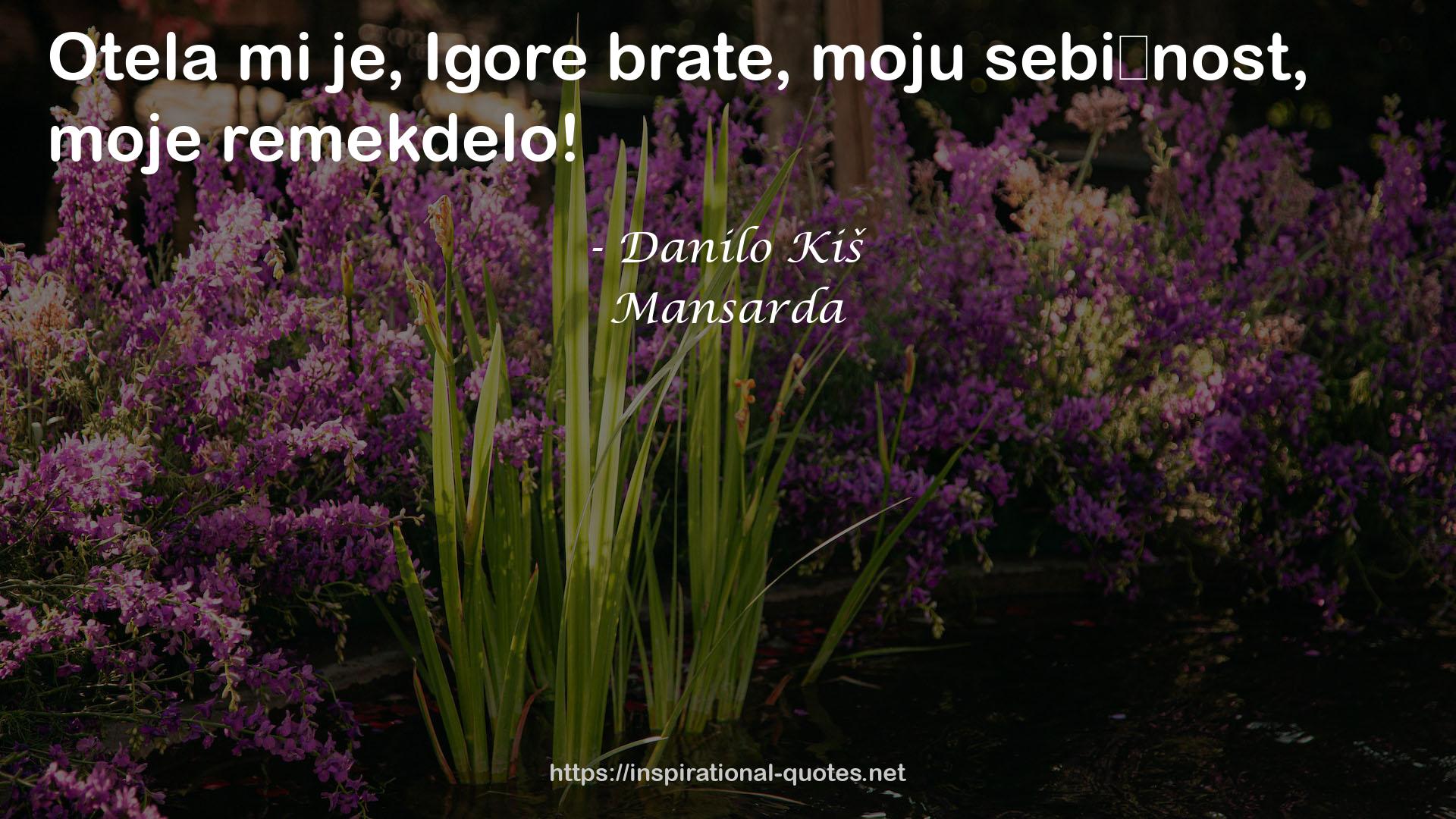 Mansarda QUOTES