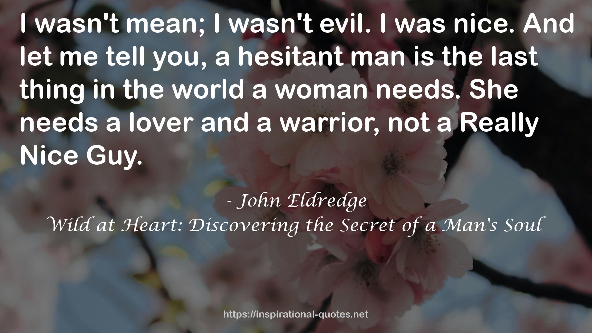 Wild at Heart: Discovering the Secret of a Man's Soul QUOTES