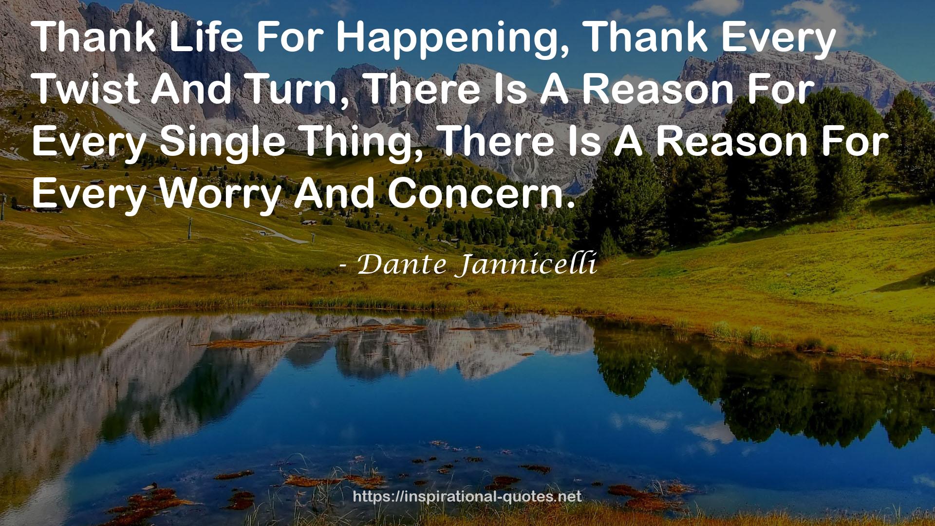 Dante Jannicelli QUOTES