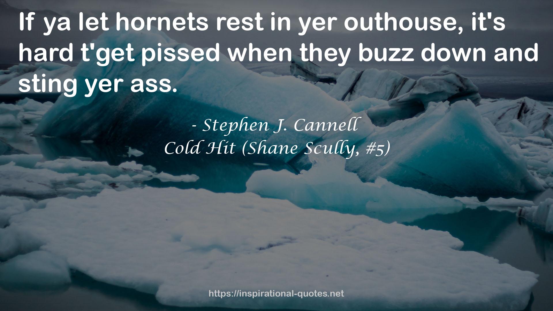 Cold Hit (Shane Scully, #5) QUOTES