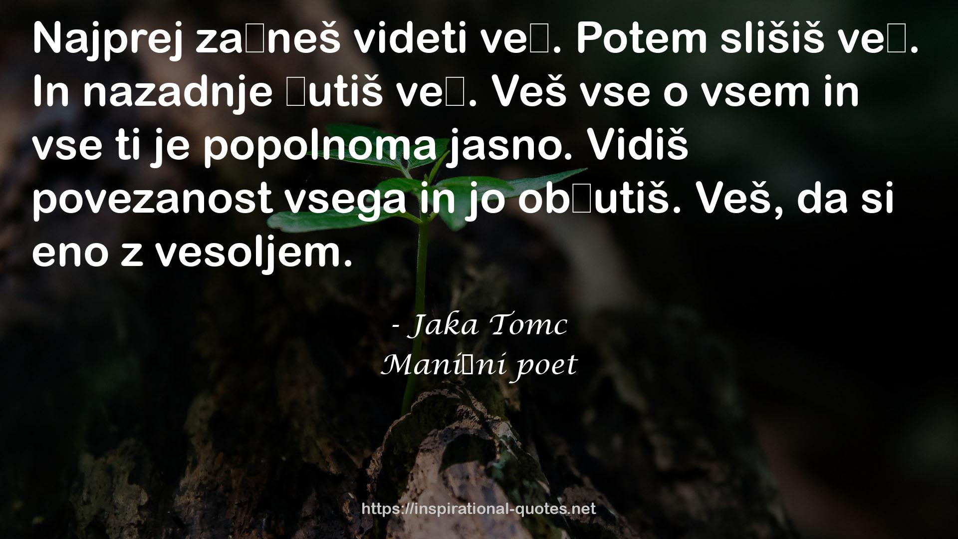 Manični poet QUOTES