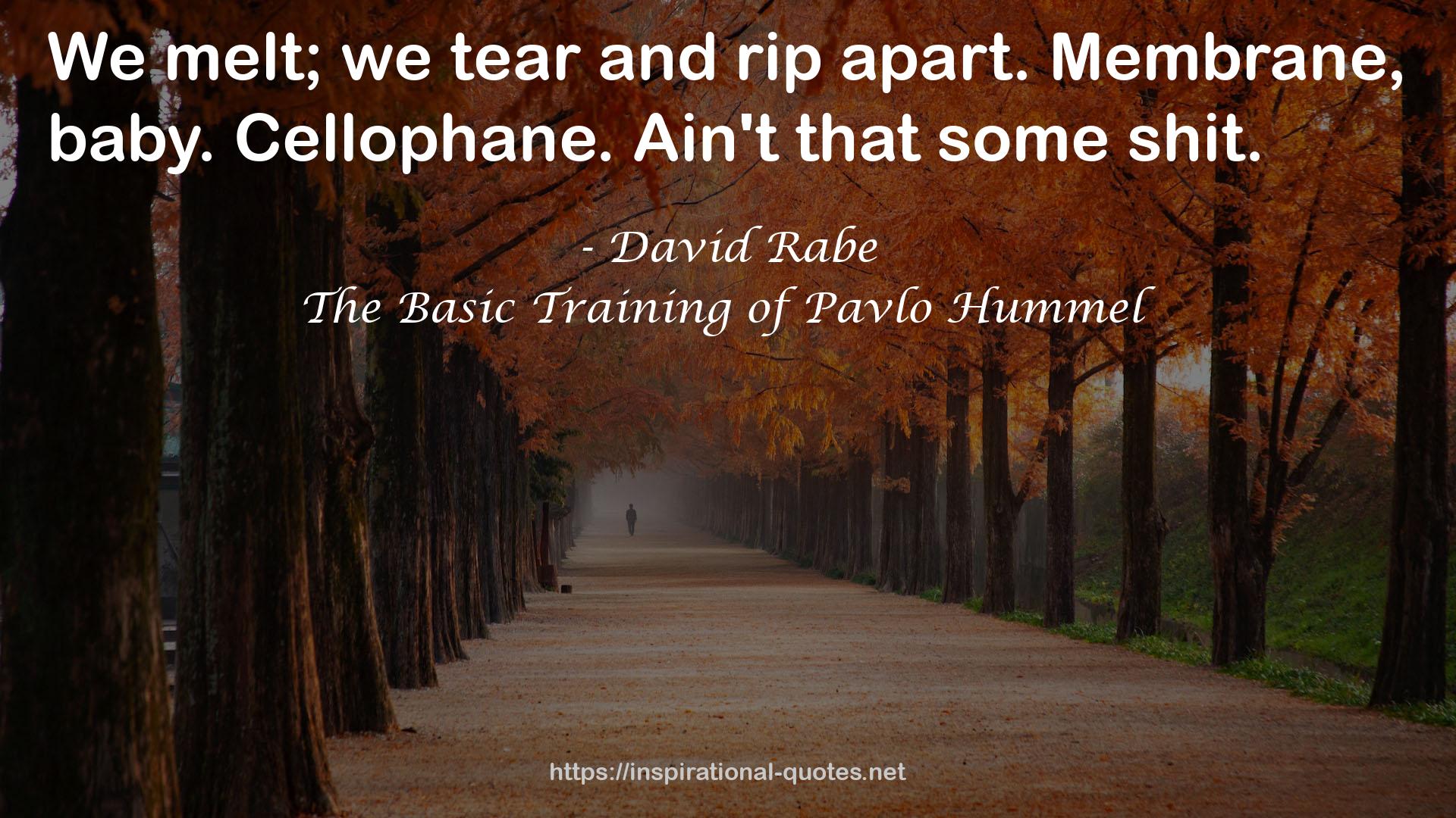 The Basic Training of Pavlo Hummel QUOTES