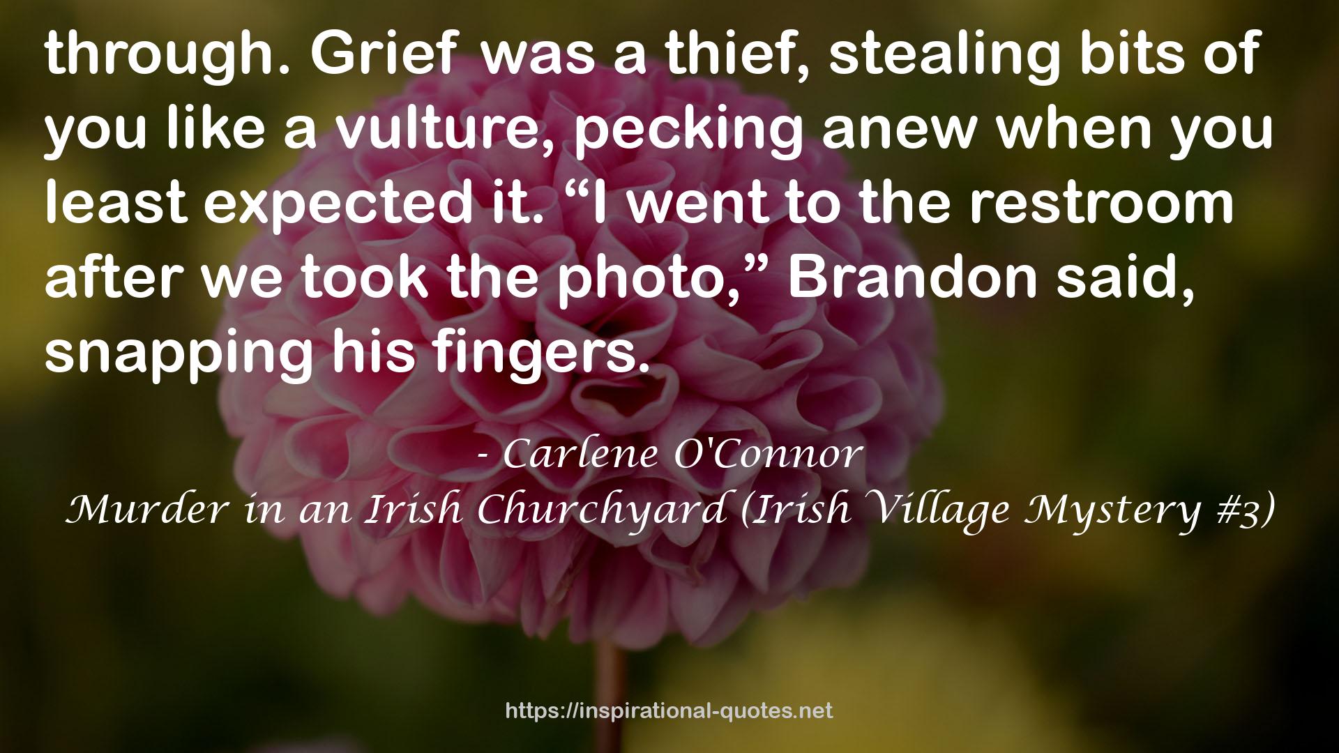 Murder in an Irish Churchyard (Irish Village Mystery #3) QUOTES