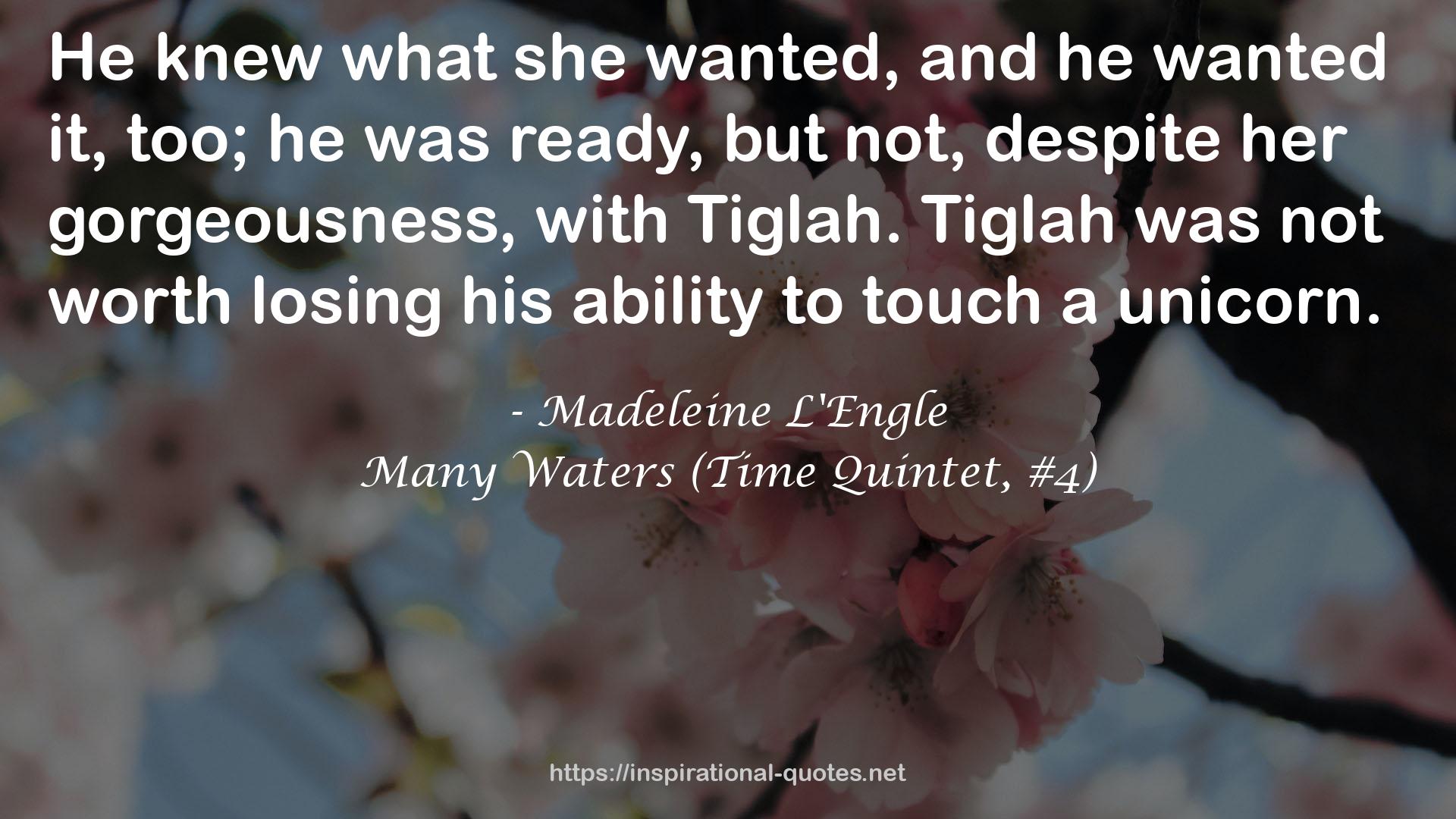 Many Waters (Time Quintet, #4) QUOTES