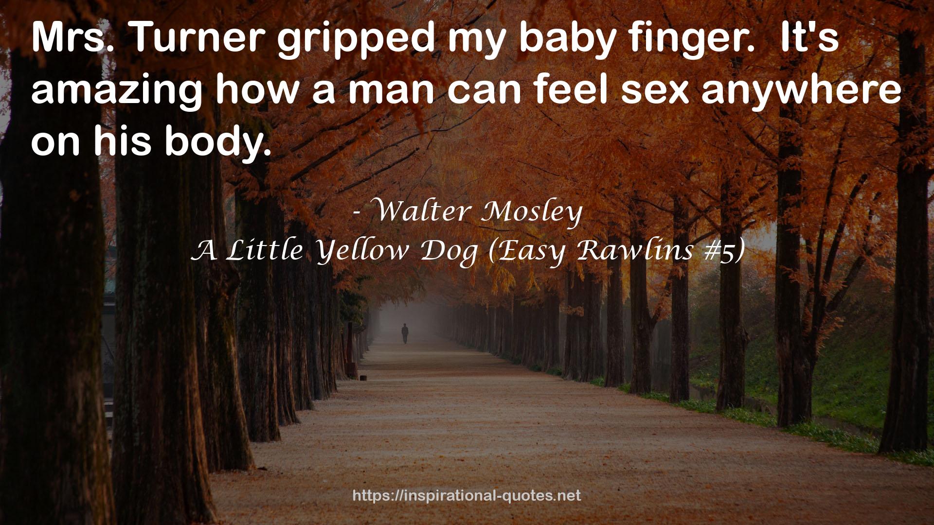 A Little Yellow Dog (Easy Rawlins #5) QUOTES