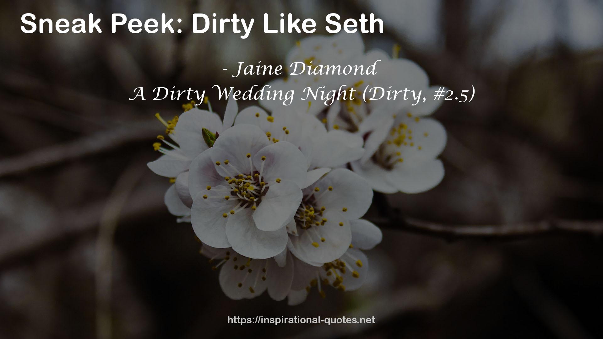 A Dirty Wedding Night (Dirty, #2.5) QUOTES
