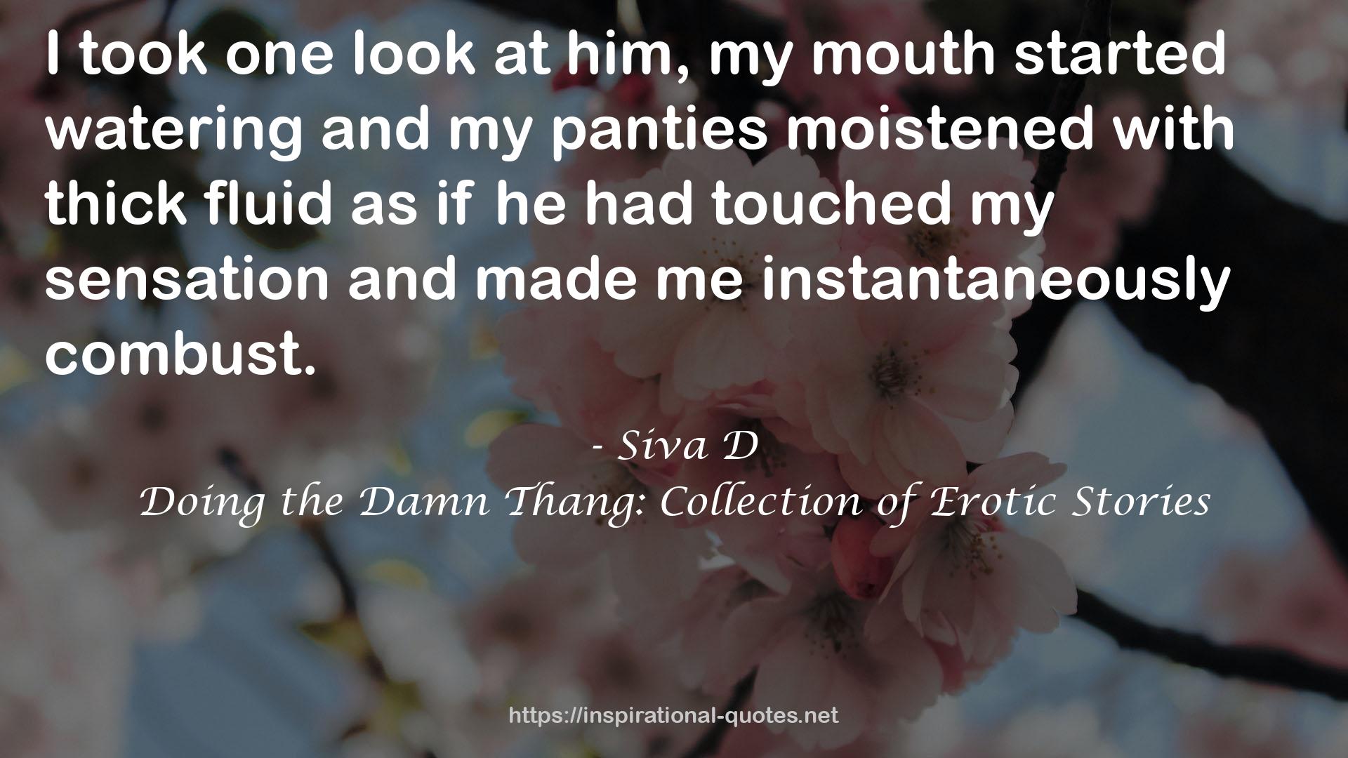 Doing the Damn Thang: Collection of Erotic Stories QUOTES