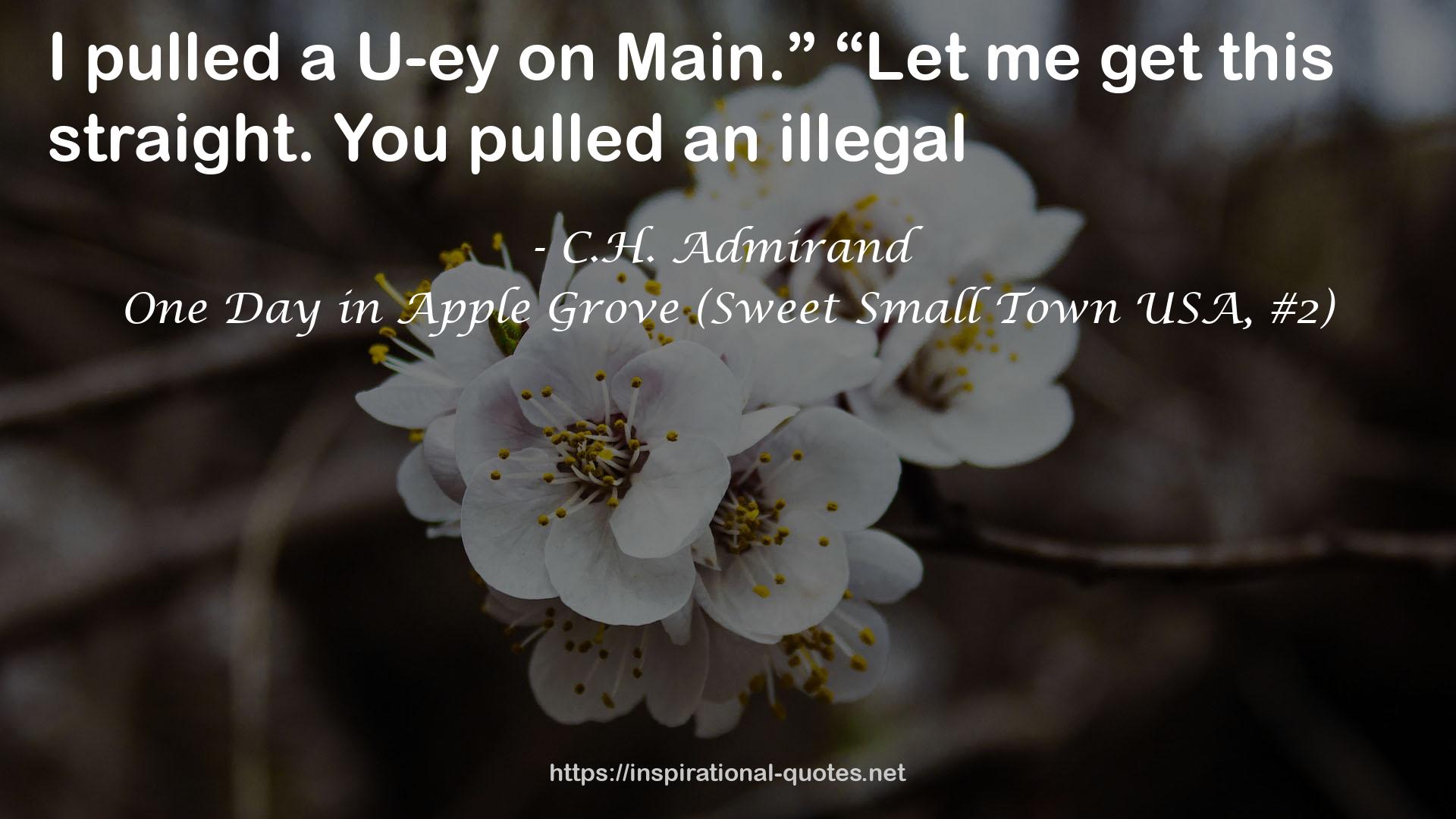 One Day in Apple Grove (Sweet Small Town USA, #2) QUOTES