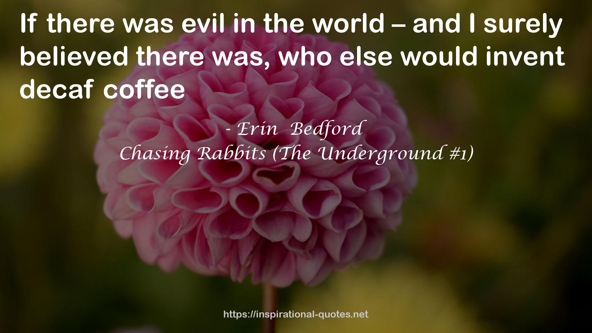 Chasing Rabbits (The Underground #1) QUOTES