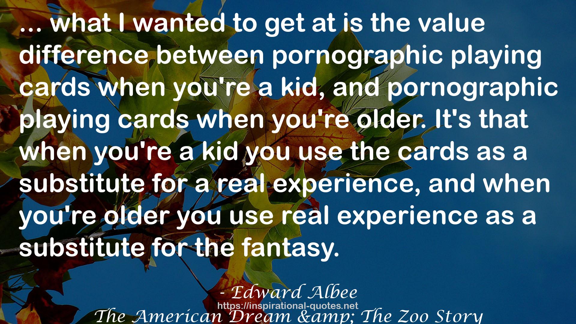 The American Dream & The Zoo Story QUOTES