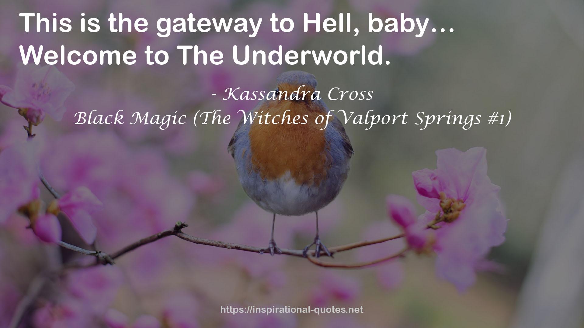 Black Magic (The Witches of Valport Springs #1) QUOTES