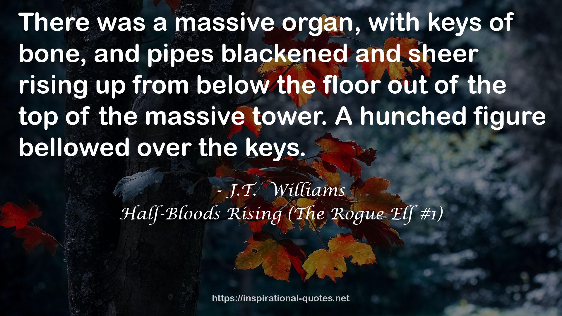 Half-Bloods Rising (The Rogue Elf #1) QUOTES