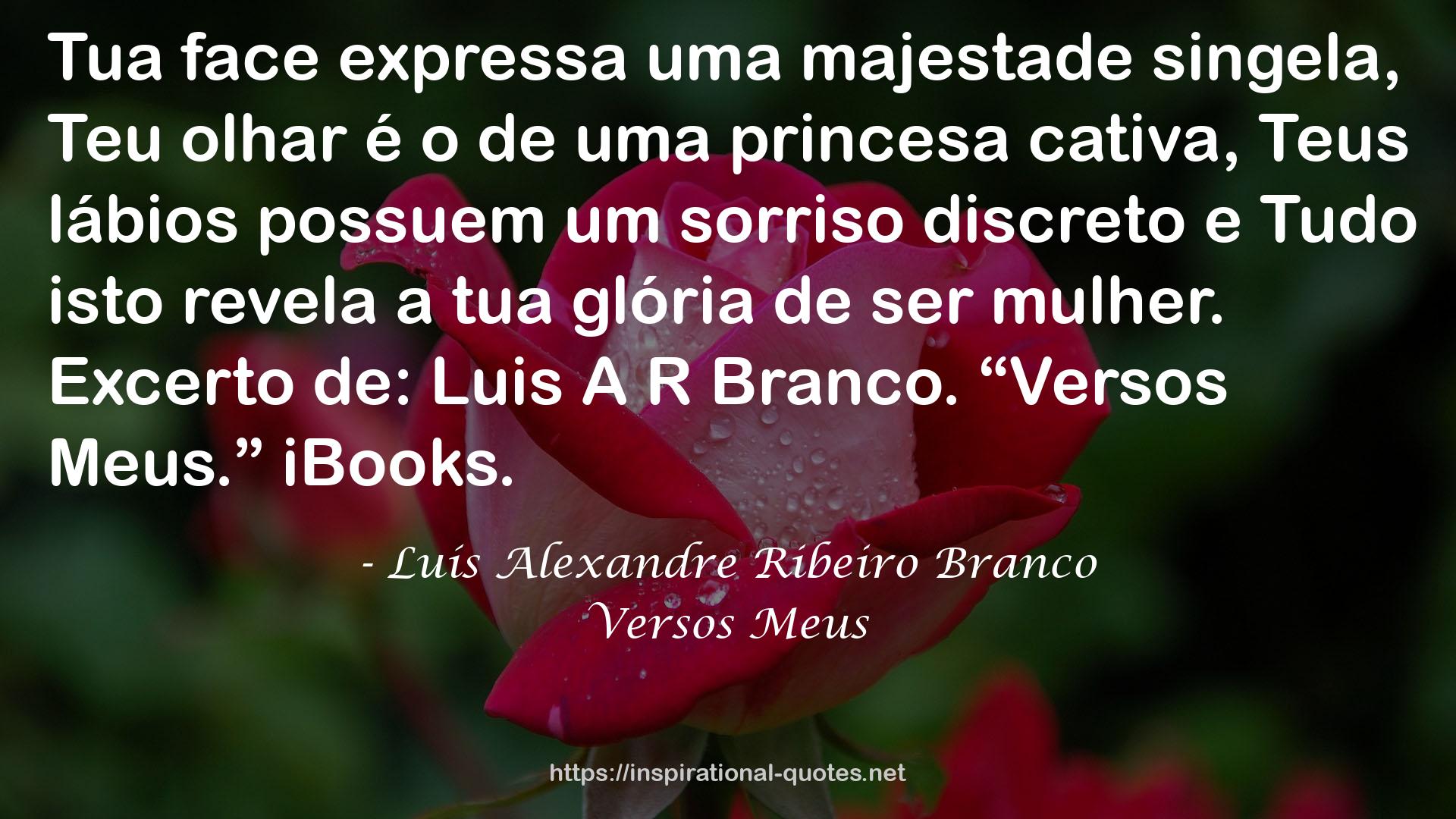 Luís Alexandre Ribeiro Branco QUOTES