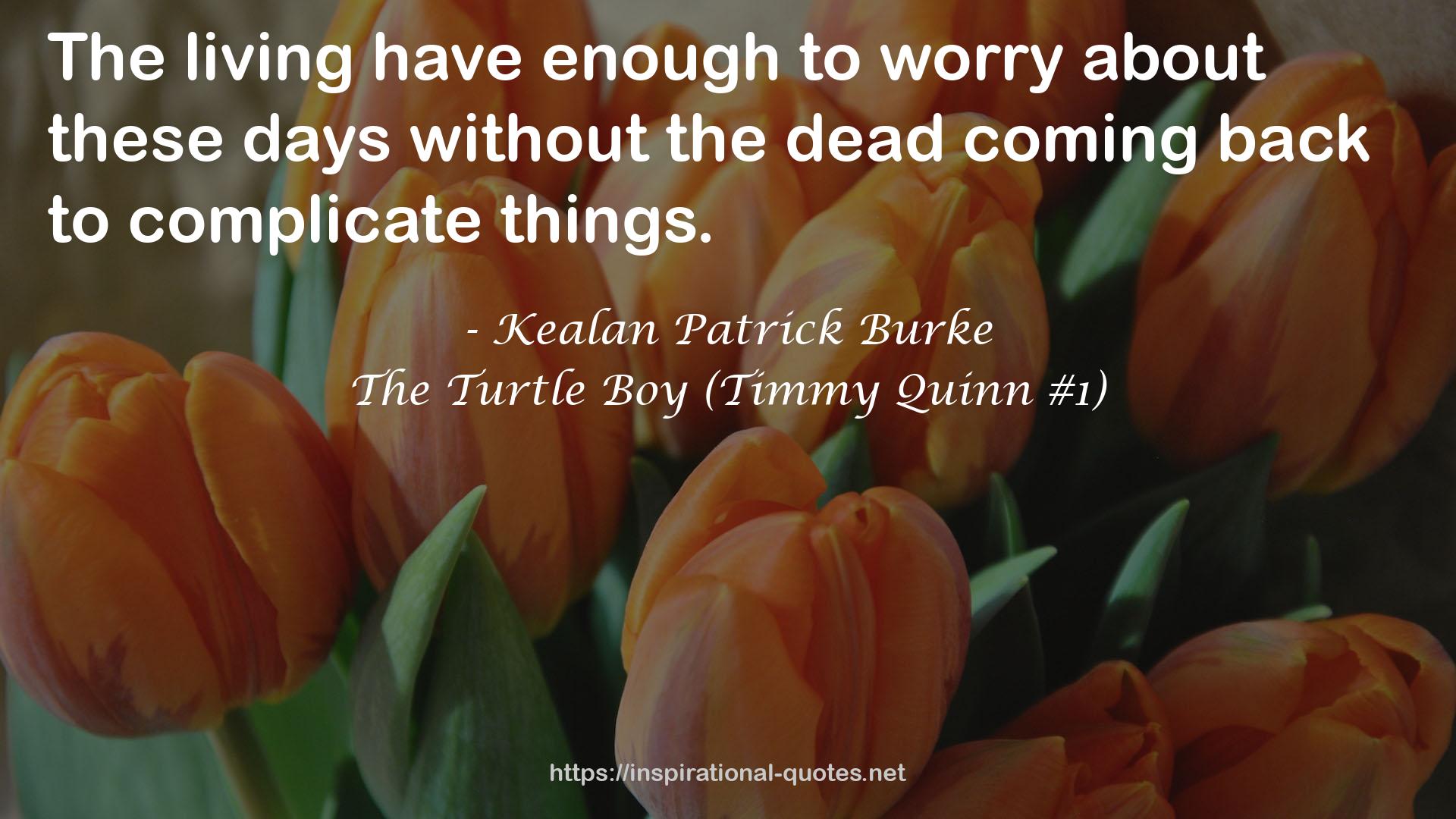 The Turtle Boy (Timmy Quinn #1) QUOTES