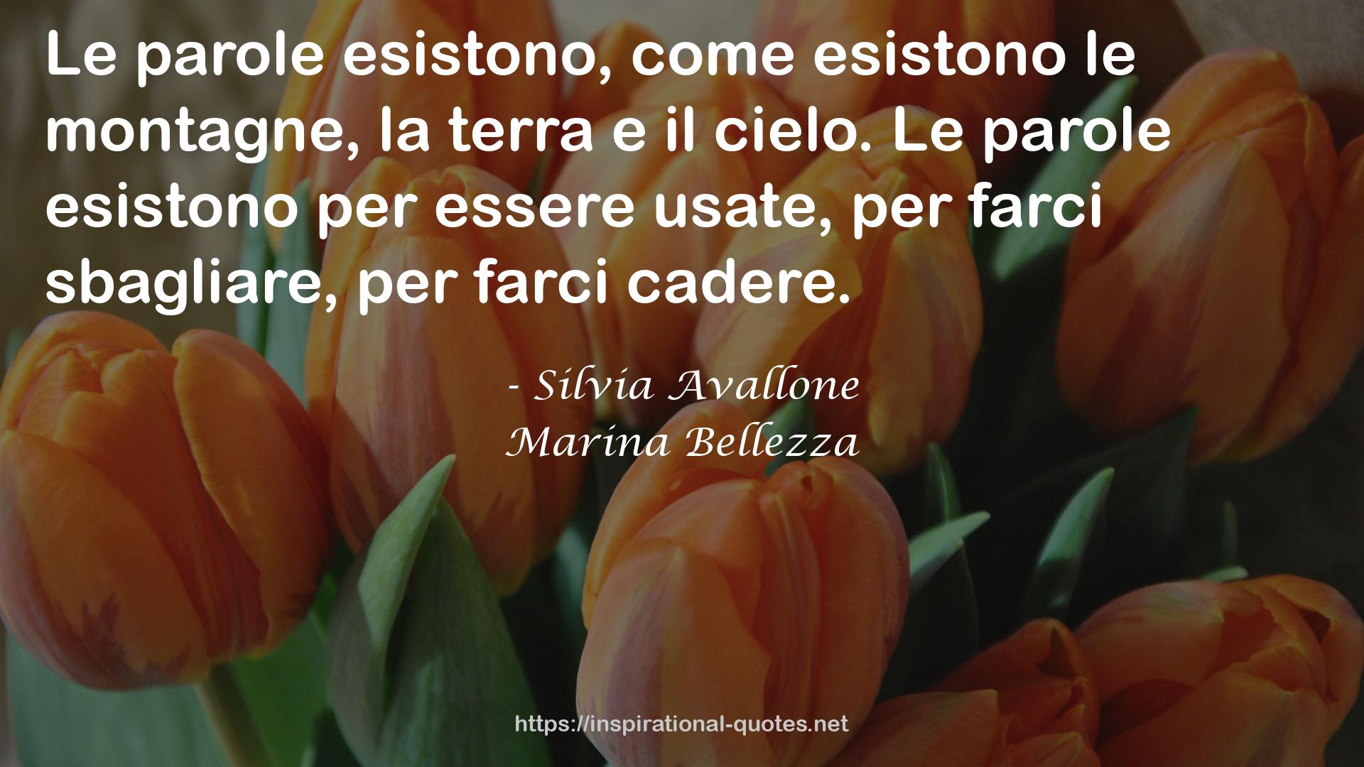 Marina Bellezza QUOTES