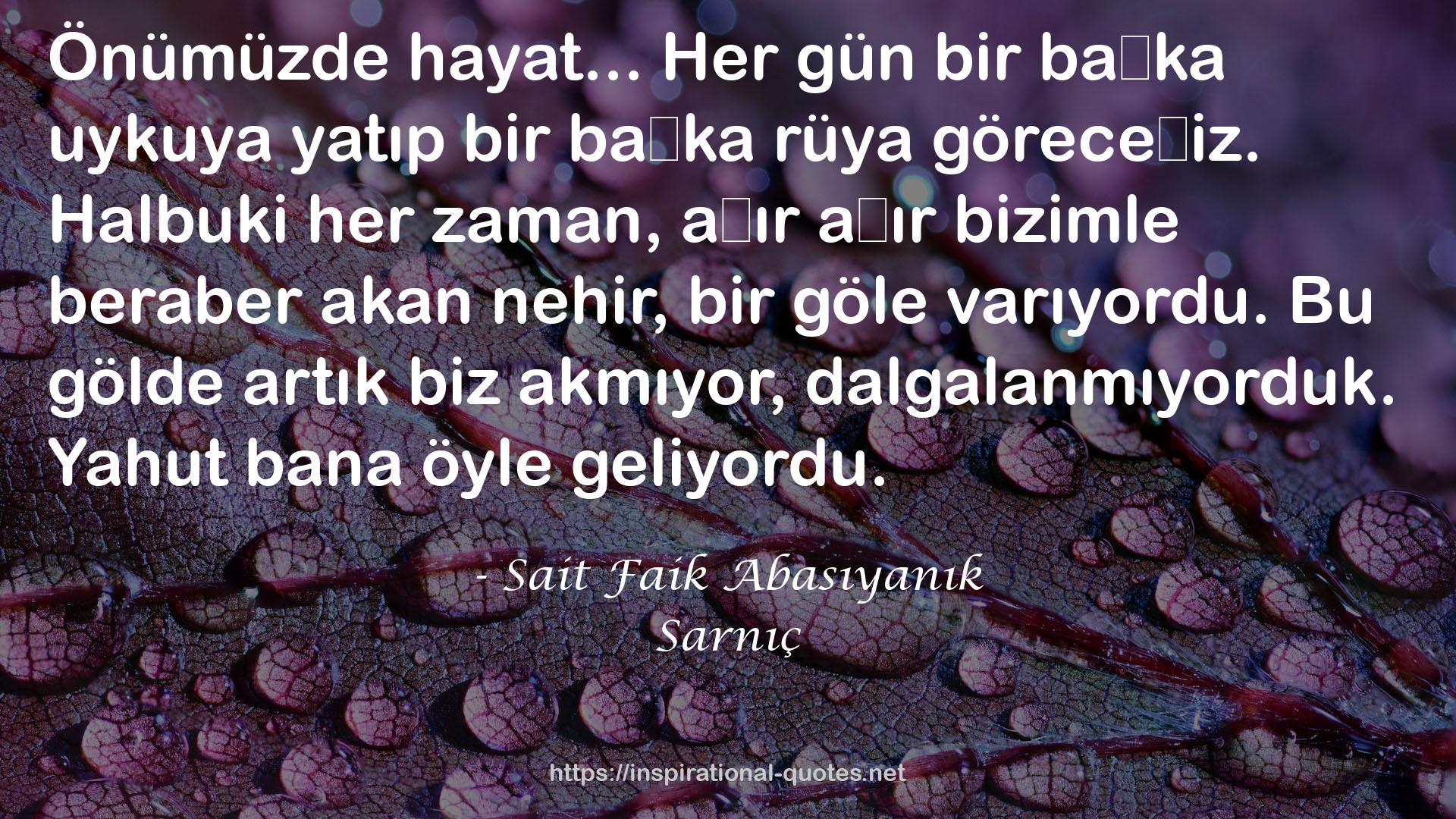 Sarnıç QUOTES